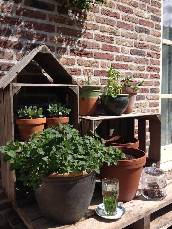 Hof Van Renesse Noordwelle Kültér fotó