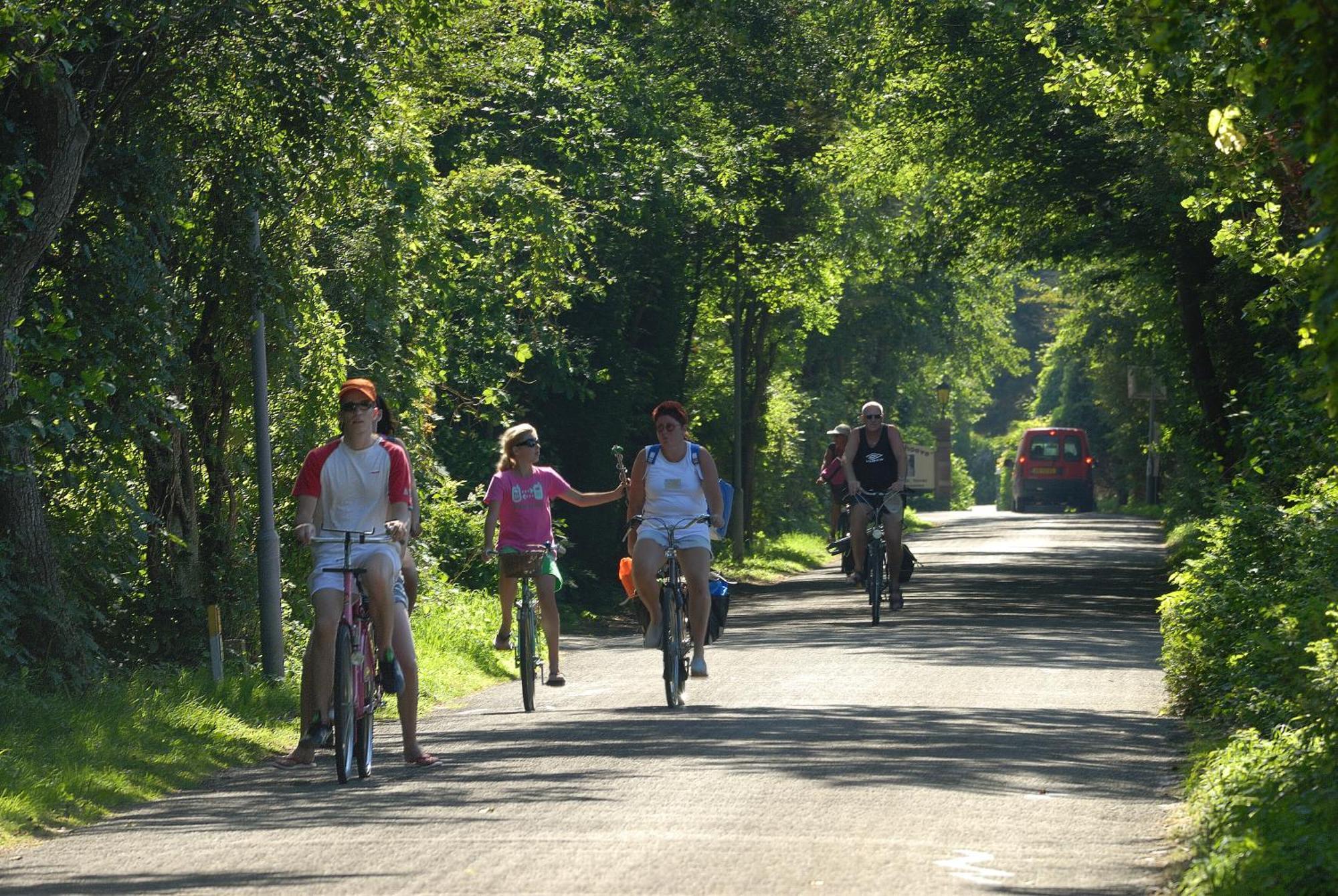 Hof Van Renesse Noordwelle Kültér fotó
